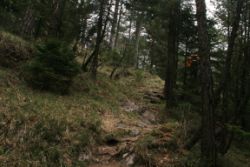 2011-04-24_Regina-F-Rau_Brunnstein-Spitze (006).JPG